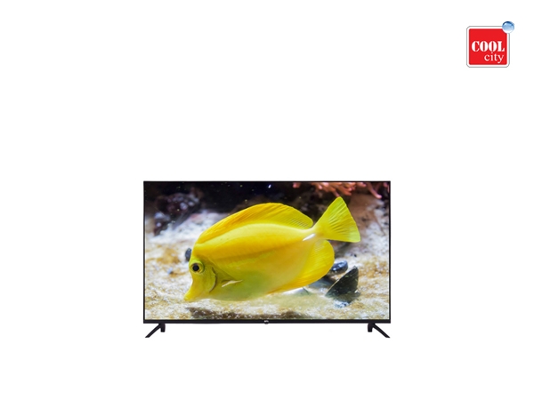BPL LED 50U - A4310